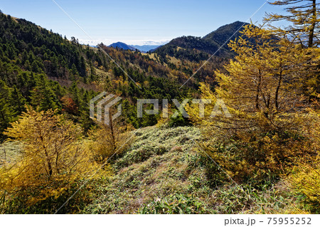 大菩薩連嶺・石丸峠から見る狼平と小金沢山 75955252