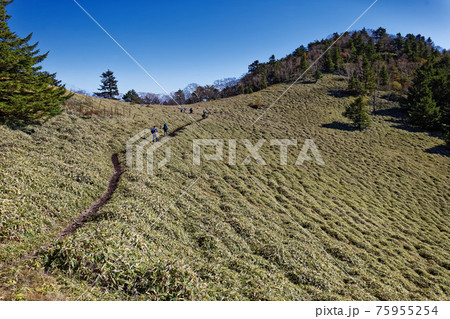 大菩薩連嶺・石丸峠の草原を行く登山者と天狗棚山 大菩薩連嶺・石丸峠の草原を行く登山者と天狗棚山 75955254