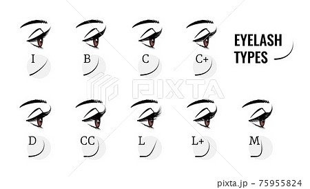 Eyelash types. Curved female eyelashes extension, various length and bend. Profile view of woman eyes with long fake lashes. Isolated models of face makeup. Vector beauty salon service 75955824