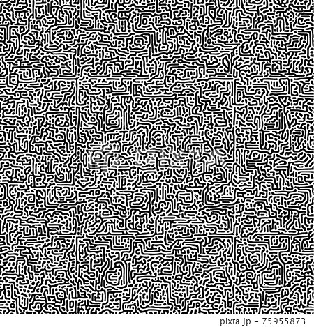 Cyclic Symmetric Multiscale Turing Pattern. Monochrome texture Cyclic Symmetric Multiscale Turing Pattern. Monochrome texture 75955873