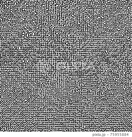 Cyclic Symmetric Multiscale Turing Pattern. Monochrome texture Cyclic Symmetric Multiscale Turing Pattern. Monochrome texture 75955884