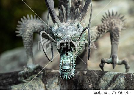 手水舎の龍 手水舎の龍 75956549