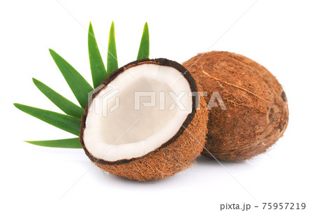 Coconuts with leaves on white backgrounds. Coconuts with leaves on white backgrounds. 75957219