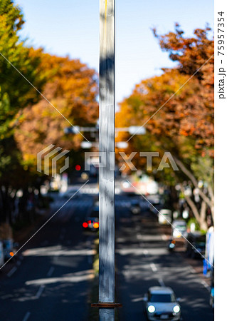表参道　表参道ヒルズ　高級ブランド　見下ろし　都心　東京　道路　高層ビル　車　歩道橋　秋　昼　午前 75957354