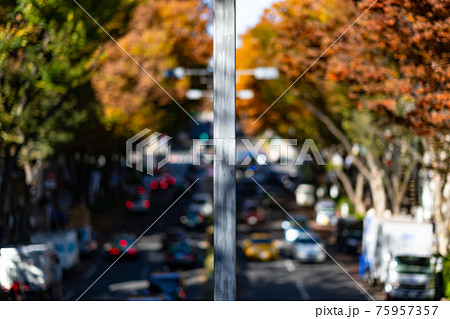 表参道　表参道ヒルズ　高級ブランド　見下ろし　都心　東京　道路　高層ビル　車　歩道橋　秋　昼　午前 75957357