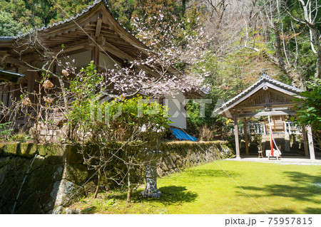 戒長寺(額井岳・戒場山の登山コース) 戒長寺(額井岳・戒場山の登山コース) 75957815