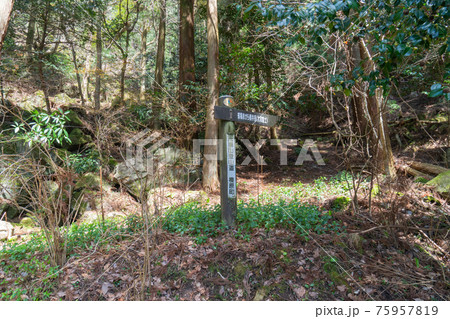 戒場山の登山口(額井岳・戒場山の登山コース) 戒場山の登山口(額井岳・戒場山の登山コース) 75957819