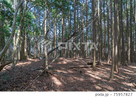 戒場山の山頂（額井岳・戒場山の登山コース） 75957827