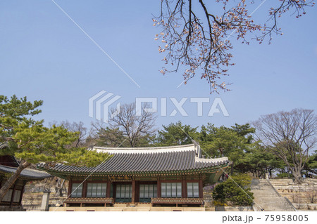 昌慶宮 古建築 ソウル 75958005