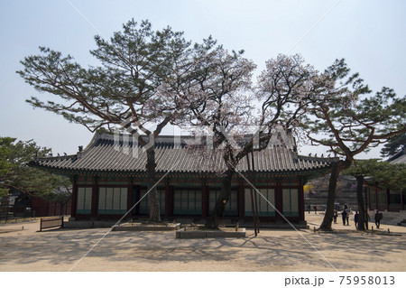 昌慶宮 古建築 ソウル 75958013