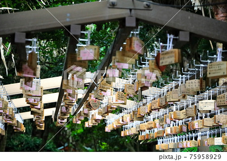青島神社 75958929