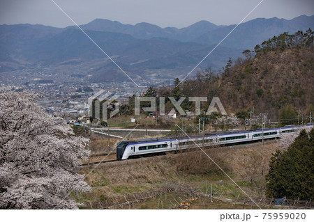 中央本線と甚六桜 中央本線と甚六桜 75959020