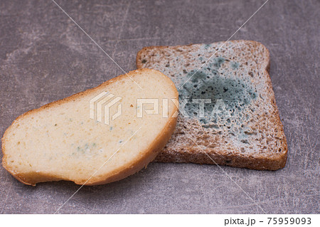 poor-quality bread quickly became moldy. dangerous mushrooms grow on bread. 75959093