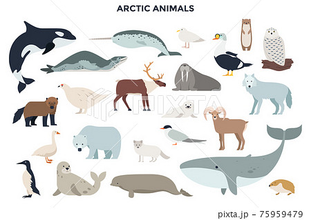 Vector Animals Set 75959479