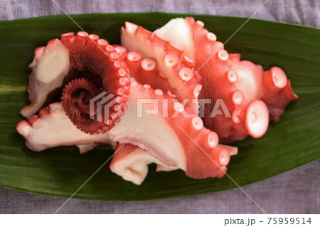 茹でタコの刺身、蛸の刺身、ハランに載せた茹でタコ 茹でタコの刺身、蛸の刺身、ハランに載せた茹でタコ 75959514
