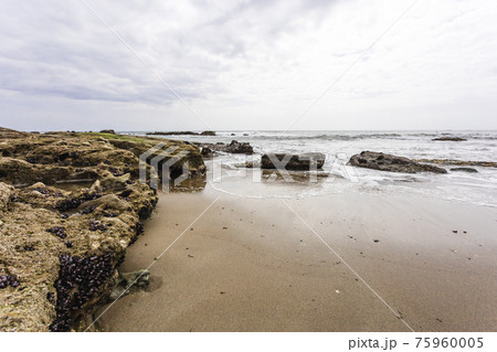 茨城県日立市　初崎海岸の岩場 75960005