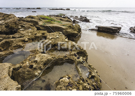茨城県日立市　初崎海岸の岩場 75960006