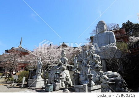 奈良県 壷阪寺の桜大仏 奈良県 壷阪寺の桜大仏 75960218