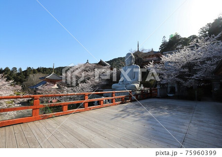 奈良県 壷阪寺の桜大仏 奈良県 壷阪寺の桜大仏 75960399