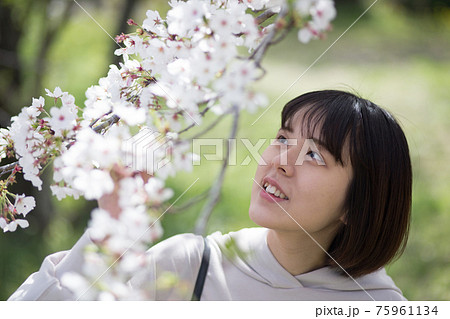 桜の花を見る女性のポートレート 桜の花を見る女性のポートレート 75961134