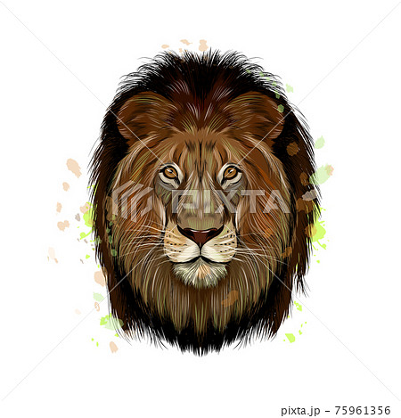 Lion head portrait from a splash of watercolor, colored drawing, realistic Lion head portrait from a splash of watercolor, colored drawing, realistic 75961356