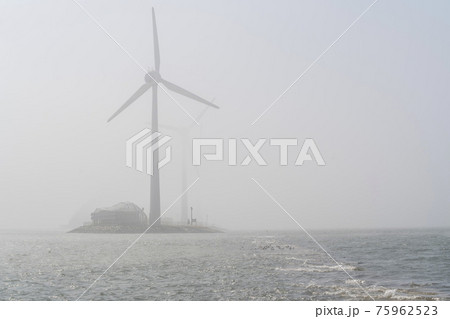 海 タービン カモメ 75962523