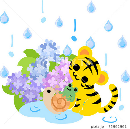 梅雨の季節を過ごす可愛い虎ちゃんとカエルとカタツムリのイラストのイラスト素材