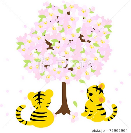 桜を見上げる可愛い虎ちゃん達のイラストのイラスト素材
