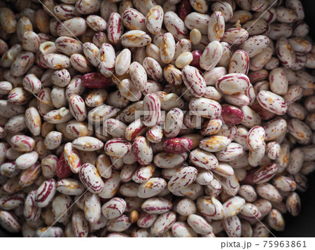 crimson beans legumes food background crimson beans legumes food background 75963861