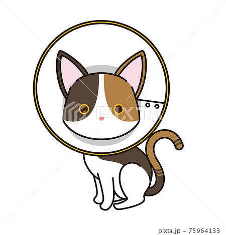 エリザベスカラーを付けた三毛猫 エリザベスカラーを付けた三毛猫 75964133