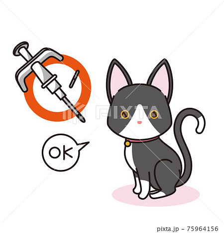 マイクロチップを装着した黒猫 75964156