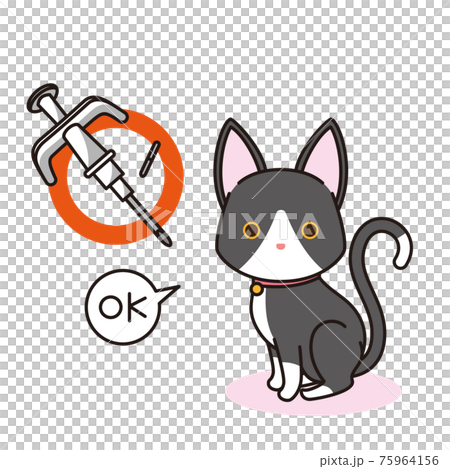マイクロチップを装着した黒猫 75964156