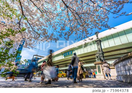 日本の東京都市景観 緊急事態宣言再延長が解除された日本橋。「日本橋」前の桜が満開に=3月27日 日本の東京都市景観 緊急事態宣言再延長が解除された日本橋。「日本橋」前の桜が満開に=3月27日 75964378
