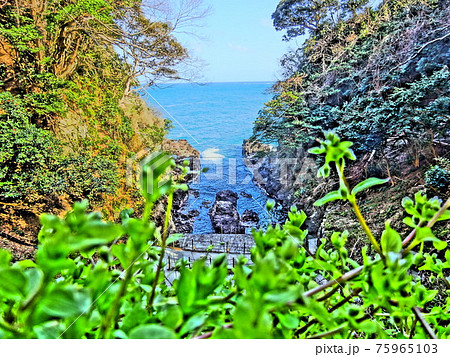 草むらと入り江 75965103