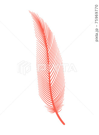 Coral detailed feather of bird. Vector decorative fluffy pink feather of flamingo or goose. Plume icon isolated on white background 75969770
