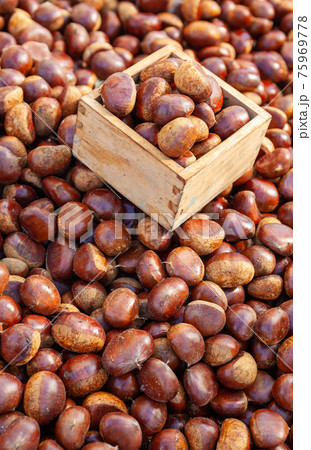 フルーツ 果物 実 75969778