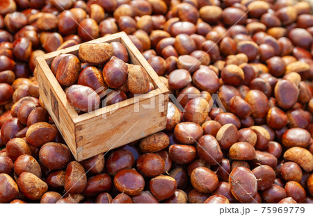 フルーツ 果物 実 75969779