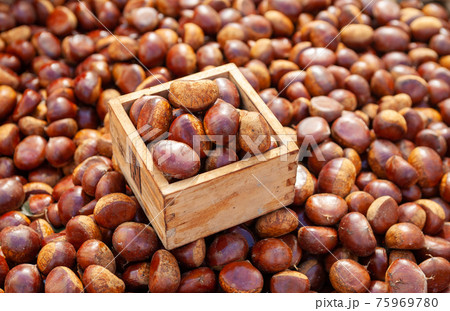 フルーツ 果物 実 75969780