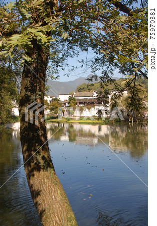 Hongcun Ancient Town in Anhui Province, China. Portrait view of the old buildings of Hongcun with their reflection in the water of Nanhu Lake and foreground tree. The ancient town of Hongcun in China. 75970381