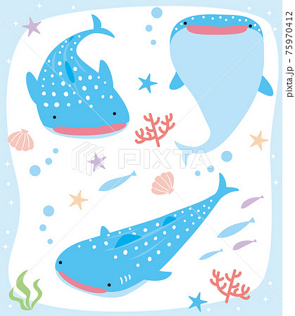 Okinawa Whale Shark 3 Pose Illustration Set Stock Illustration