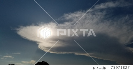 サメの形をした雲 75971827