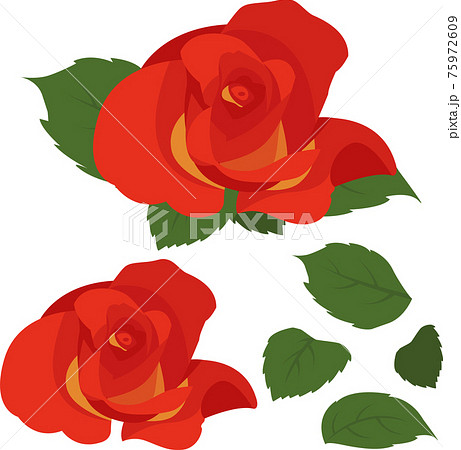 バラのイラスト素材セットのベクター 薔薇 植物のイラスト素材