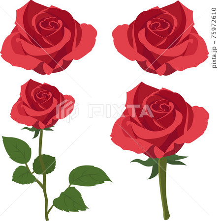 バラのイラスト素材セットのベクター 薔薇 植物のイラスト素材