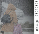 吹雪の歩く人 75972628