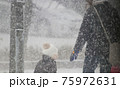 吹雪の歩く人 75972631