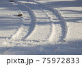冬のタイヤ足跡 75972833