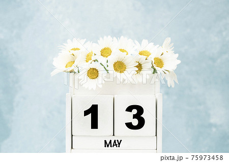 cube calendar for May with daisy flowers over blue with copy space cube calendar for May with daisy flowers over blue with copy space 75973458