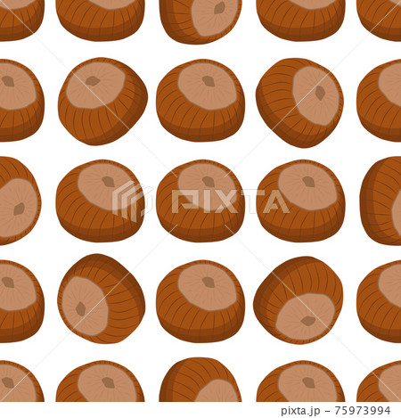Illustration on theme big pattern identical types hazelnut 75973994