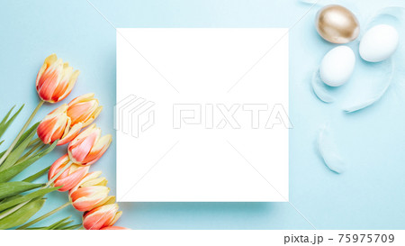 Easter Golden eggs in basket with spring tulips, white feathers on pastel blue background in Happy Easter decoration. Spring holiday flat lay concept. 75975709