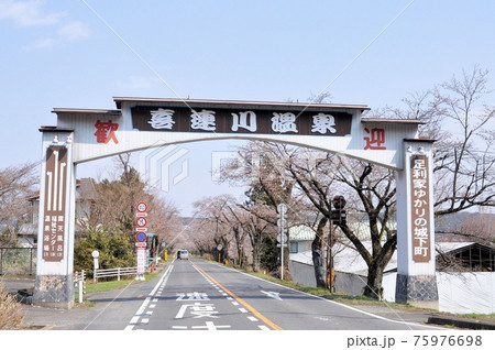 喜連川早乙女の桜並木 喜連川早乙女の桜並木 75976698